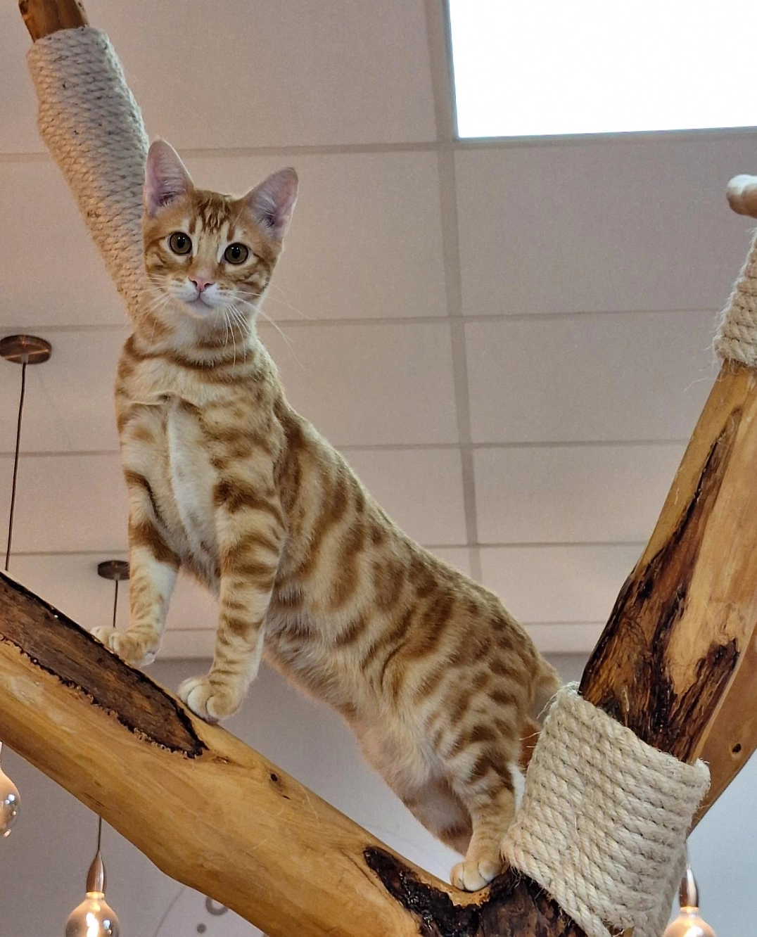 Maak kennis met janneke